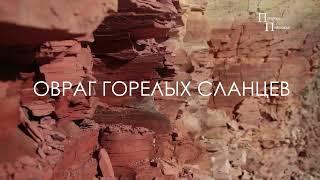 ЛЕСОСТЕПЬ ЛЕТО ОВРАГ ГОРЕЛЫХ СЛАНЦЕВ