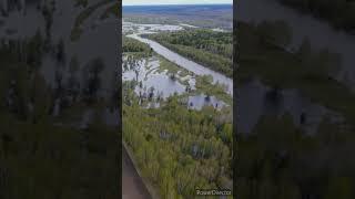 Разлив воды в пойме р. Тара, р.п. Муромцево Омской области #омск #омскаяобласть #сибирь #муромцево