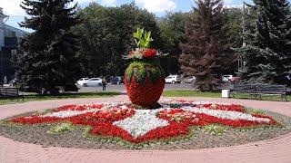 В Ярославле продолжается оформление цветочных клумб