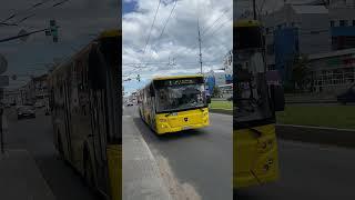 Автобус ЛиАЗ-5292.65 по маршруту 8, Ярославль